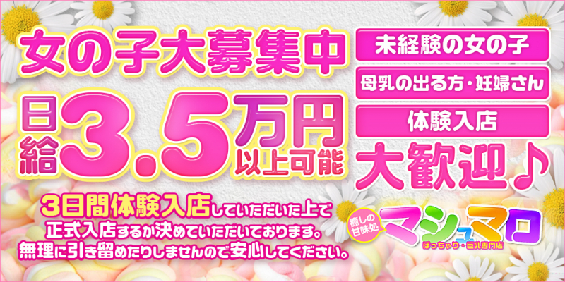 ぽちゃ＆巨乳専門店★マシュマロ〔求人募集〕